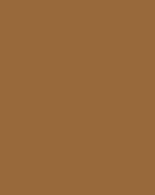 Light Brown - SeceuroGlide Sectional Colour 